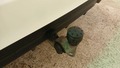 View of trailer tow-bar hitch