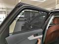 View of rear entertainment and accessories