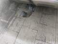View of trailer tow-bar hitch