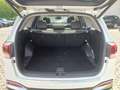 View of boot / luggage space