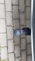 Ansicht Anhängerkupplung