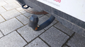 View of trailer tow-bar hitch