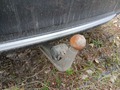 View of trailer tow-bar hitch