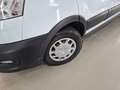Detailfoto