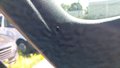 Weitere Bilder Innenraum