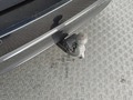 View of trailer tow-bar hitch