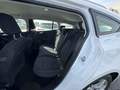 View of rear seat