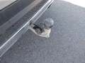 View of trailer tow-bar hitch