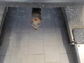 Detailfoto