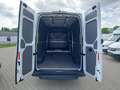 View of boot / luggage space