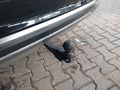 View of trailer tow-bar hitch