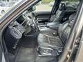 View of front seats
