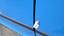 Seitenteil hinten links