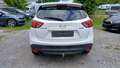 Ansicht Heck