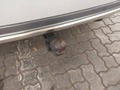 View of trailer tow-bar hitch