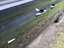Tür vorne links