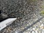 Deur links vooraan
