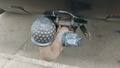View of trailer tow-bar hitch