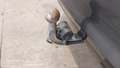 View of trailer tow-bar hitch