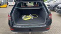 View of boot / luggage space
