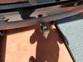 Detailfoto