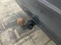 View of trailer tow-bar hitch