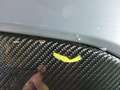 Meer foto's carrosserie