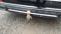View of trailer tow-bar hitch