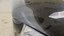 Motorhaube