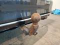 View of trailer tow-bar hitch