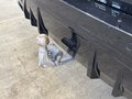 View of trailer tow-bar hitch