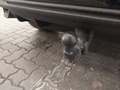 View of trailer tow-bar hitch