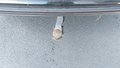 View of trailer tow-bar hitch