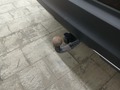 View of trailer tow-bar hitch