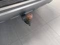 View of trailer tow-bar hitch