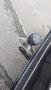 View of trailer tow-bar hitch