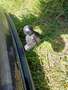 View of trailer tow-bar hitch