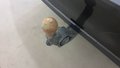 Widok haka holowniczego