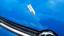 Motorhaube