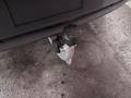 View of trailer tow-bar hitch