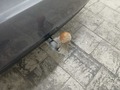 View of trailer tow-bar hitch