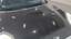 Motorhaube