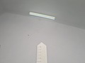 Üksikasjalik foto