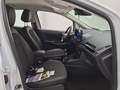 Detailfoto