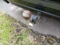 View of trailer tow-bar hitch
