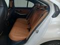 View of rear seat