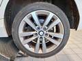 Podrobna fotografija