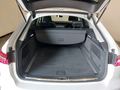 View of boot / luggage space