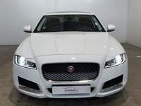 Front view