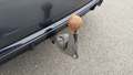 View of trailer tow-bar hitch